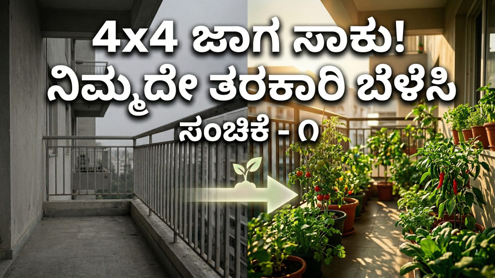ಅಪಾರ್ಟ್‌ಮೆಂಟ್ balcony gardening ನಲ್ಲಿ ಟೊಮೆಟೊ, ಮೆಣಸಿನಕಾಯಿ ಮತ್ತು ಸೊಪ್ಪುಗಳನ್ನು ಬೆಳೆಯುತ್ತಿರುವ ದೃಶ್ಯ