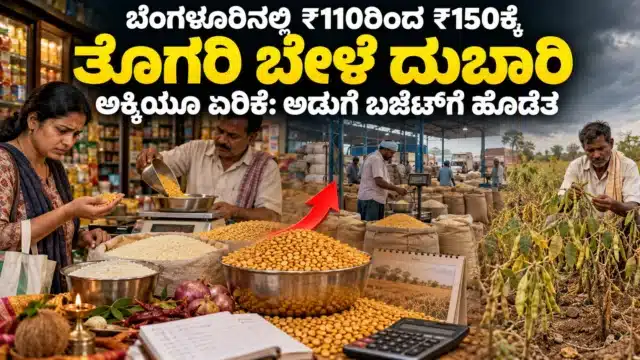 ಬೆಂಗಳೂರಿನ ದಿನಸಿ ಅಂಗಡಿಯಲ್ಲಿ ಬೇಳೆ ಖರೀದಿಸುವ ಚಿಂತಿತ ಗ್ರಾಹಕಿ, ಅಕ್ಕಿ ಮತ್ತು ತೊಗರಿ ಬೇಳೆಯ ಚೀಲಗಳು ಹಾಗೂ ಮಳೆ ಕೊರತೆಯ ತೊಗರಿ ಹೊಲದ ಸಾಂಕೇತಿಕ ದೃಶ್ಯ